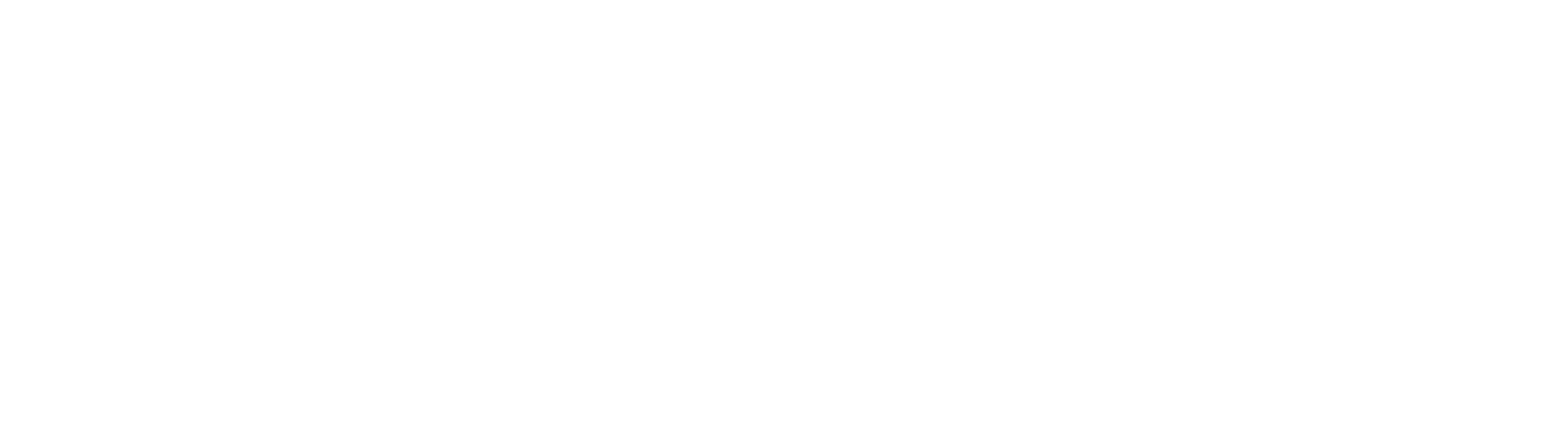 Spectrum HC21 logo white